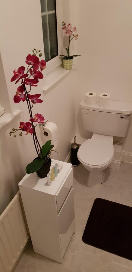 Silver Eagle Bed & Breakfast Dublin Luaran gambar