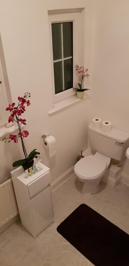 Silver Eagle Bed & Breakfast Dublin Luaran gambar