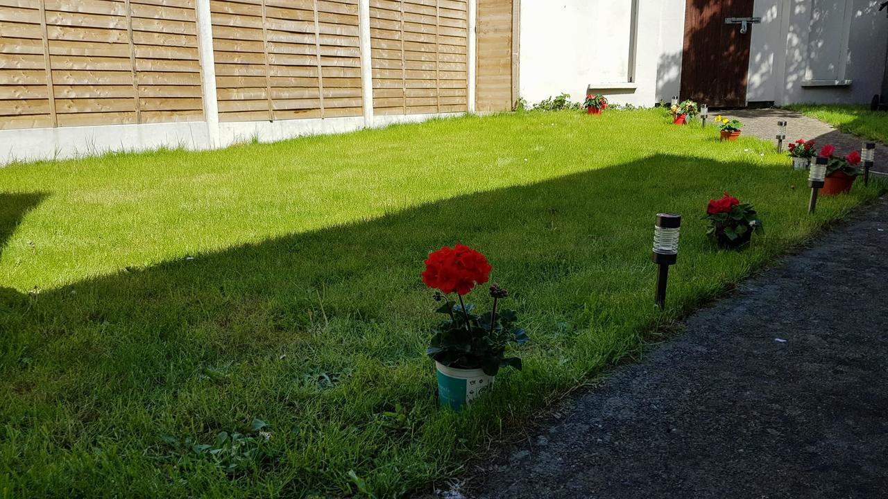 Silver Eagle Bed & Breakfast Dublin Luaran gambar